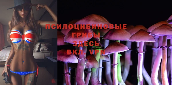 молекула духа Иннополис