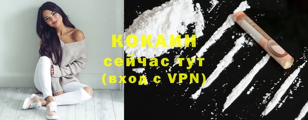 мет Инта