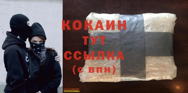 мет Инта