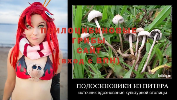 кокаин Инсар