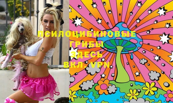 кокаин Инсар