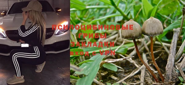 мет Инта