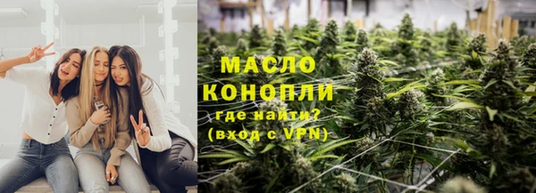 мет Инта
