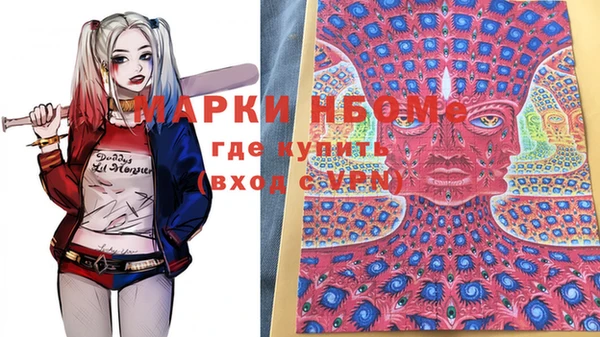 мет Инта
