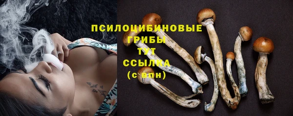 молекула духа Иннополис