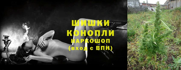 мет Инта