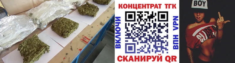 как найти   Строитель  ТГК концентрат 