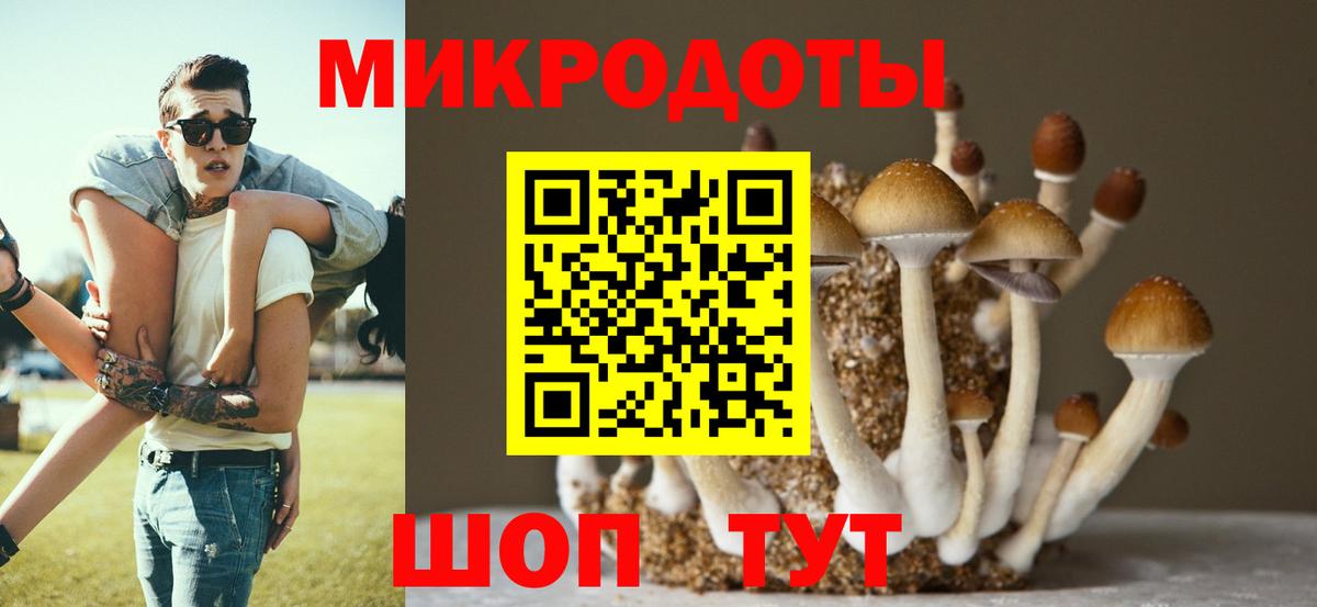 Псилоцибиновые грибы мухоморы Строитель